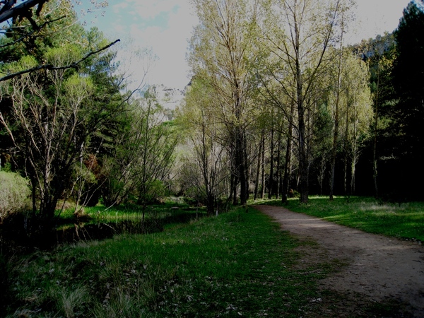 Sendero can rio lobos