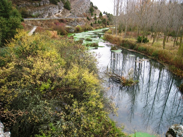 Can rio lobos