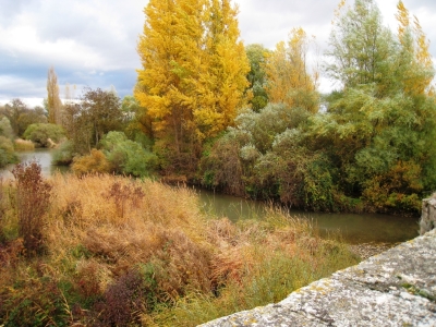 Rio Duero Gormaz